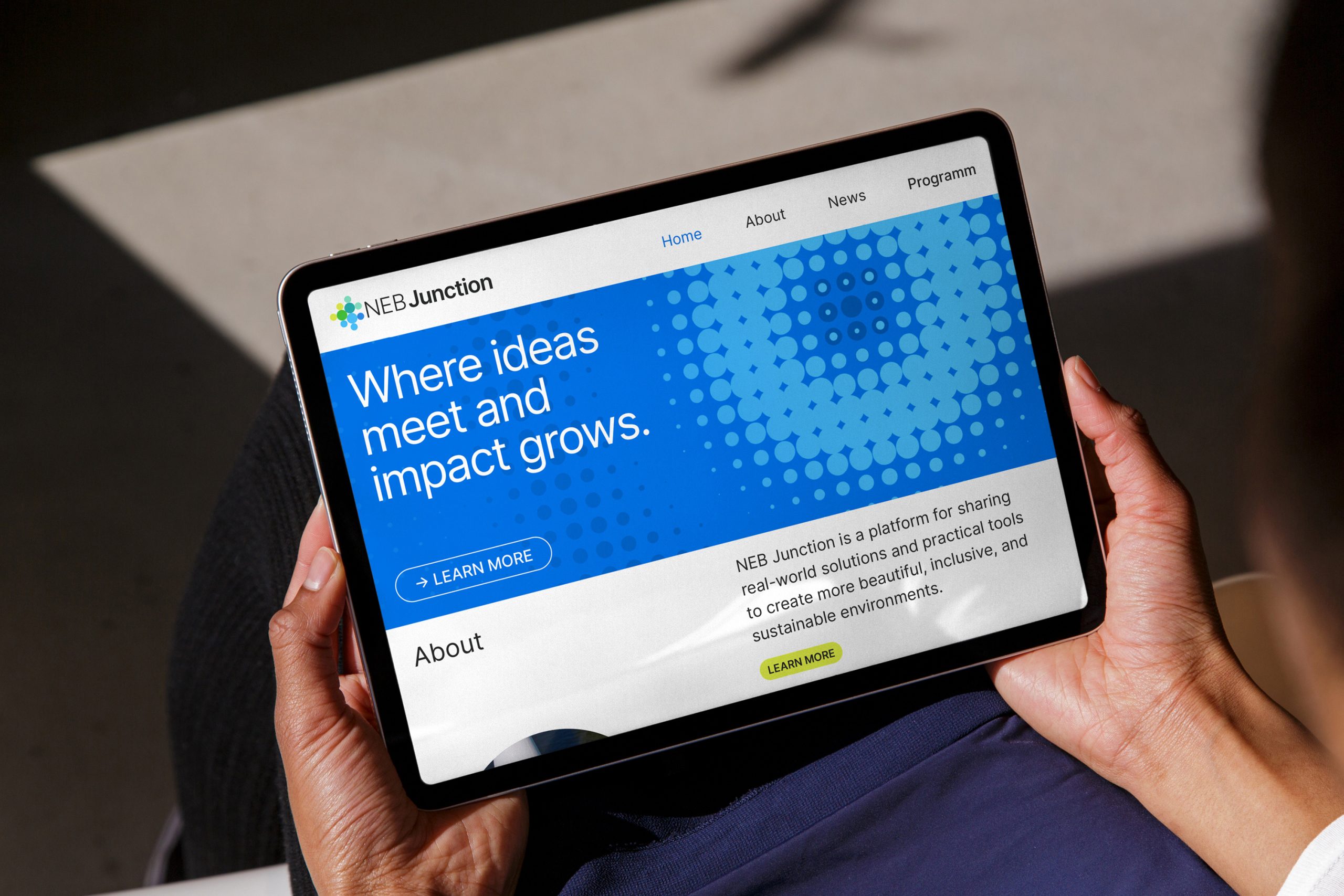 NEBJunction_Porfolio2