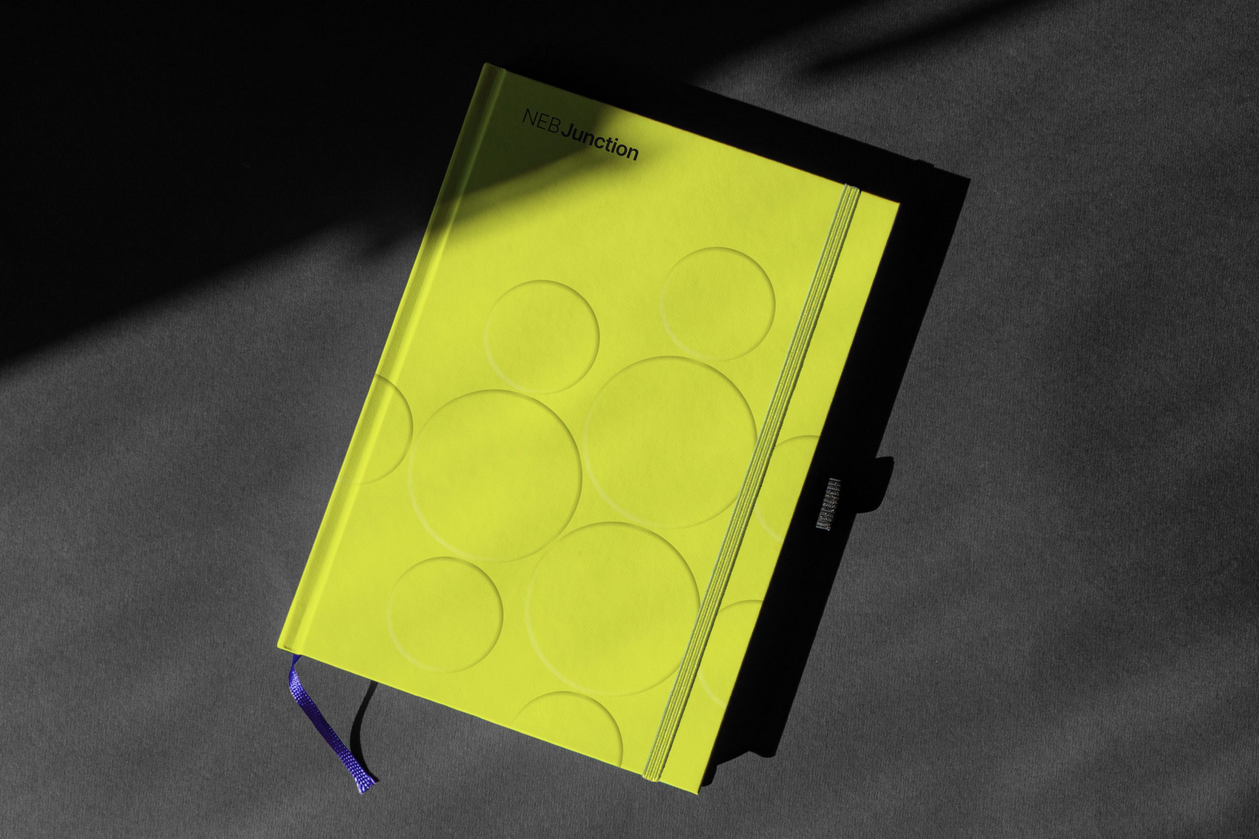 NEBJunction_Porfolio4